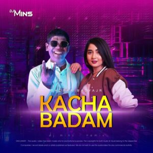 Kacha Badam Dj