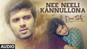 Nee Nili Kannulona Song Download