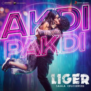 Akdi Pakdi Song Download