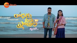 Radhaku Neevera Pranam Serial Song